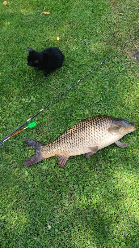 изображение_viber_2024-07-15_17-39-07-960