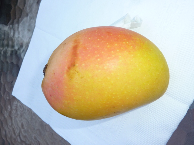 Mango #35 KRX