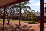 DSC-0088