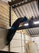 150408233_3640674339361214_7175139294659471165_n