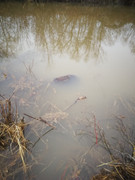 IMG-20200501-195529