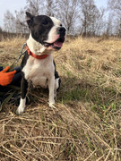 IMG_20230415_233148_629