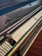 54c6d3e0-60b8-11ef-8ae6-e98bef4b1cb6