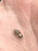 FAE7FA37-4FDB-4A9E-B92D-A6D1C27B0901