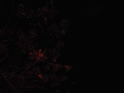 23.1.nightly reds I (edit)