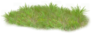 0-1c0bb5-bb2ccf47-orig