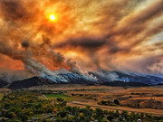 [Image: IMG-1124.jpg]