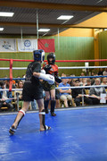 DSC-0049
