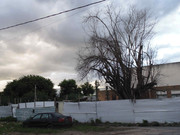 61.9.ghosts of autumn IX