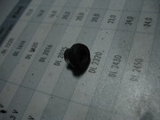 DSC00109.jpg