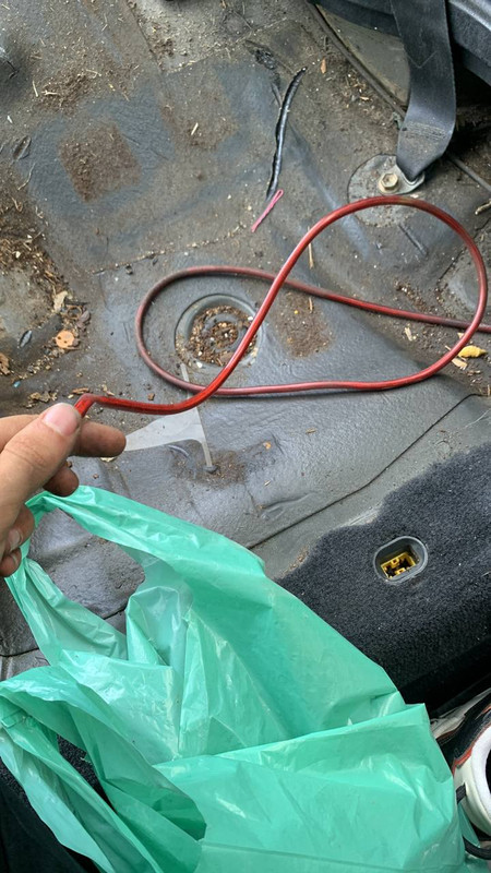 photo_2023-01-30_21-50-35 (2)