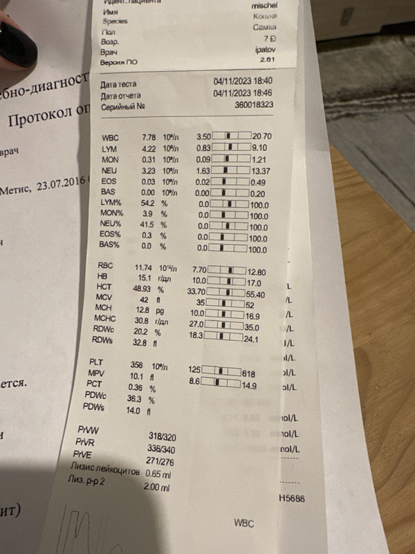 image-07-11-23-10-49