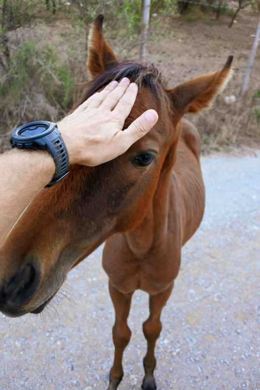 C71F5EF5-B098-49D4-A8E7-13B0F858ECF2