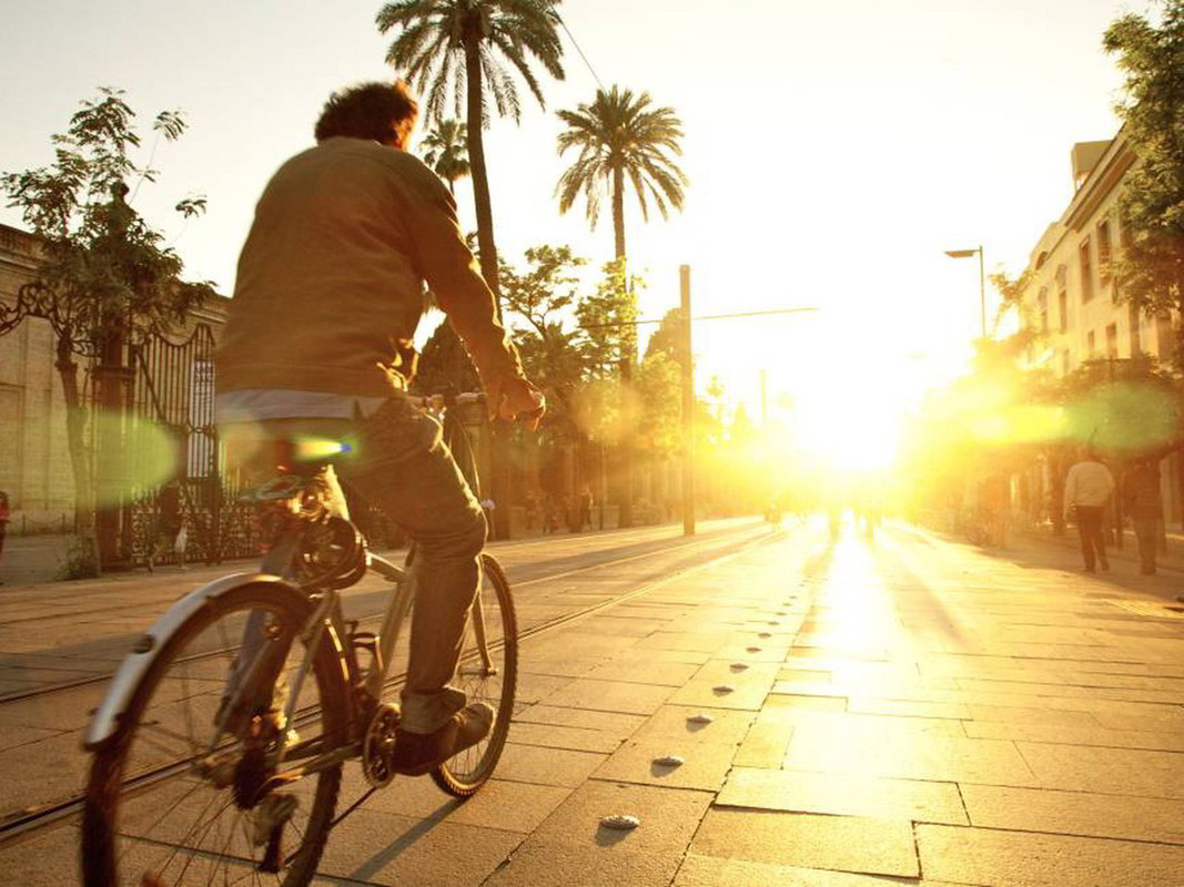 Con 15 o 20 minuti di esposizione quotidiana al sole, saranno sufficienti per aumentare i livelli di vitamina D.