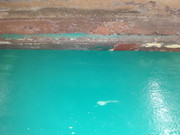 20210711-182524.jpg