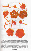 Volshebnii-Cruchok-101