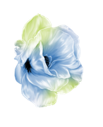 april-showers-SD-9