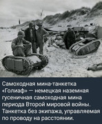 https://i.postimg.cc/6TNsxx4h/photo-2026-06-24-02-47-00.jpg