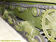 DSCN6556