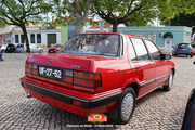 IMG-6481