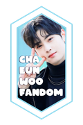 banner06chaeunwoofandom