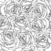 24167875-black-and-white-seamless-background-roses-hand-drawn--Stock-Photo
