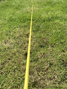 IMG-39d1685adf3bf11c5318cf0ad757d56c-V