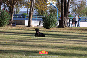 IMG-7458