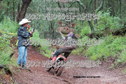 IMG-6349