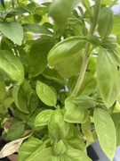 6C57B749-E9EA-45F2-B959-E71BA11DE9CA