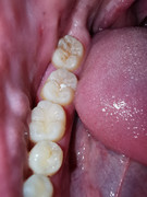 IMG-20210517-WA0029