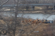 IMG-7244