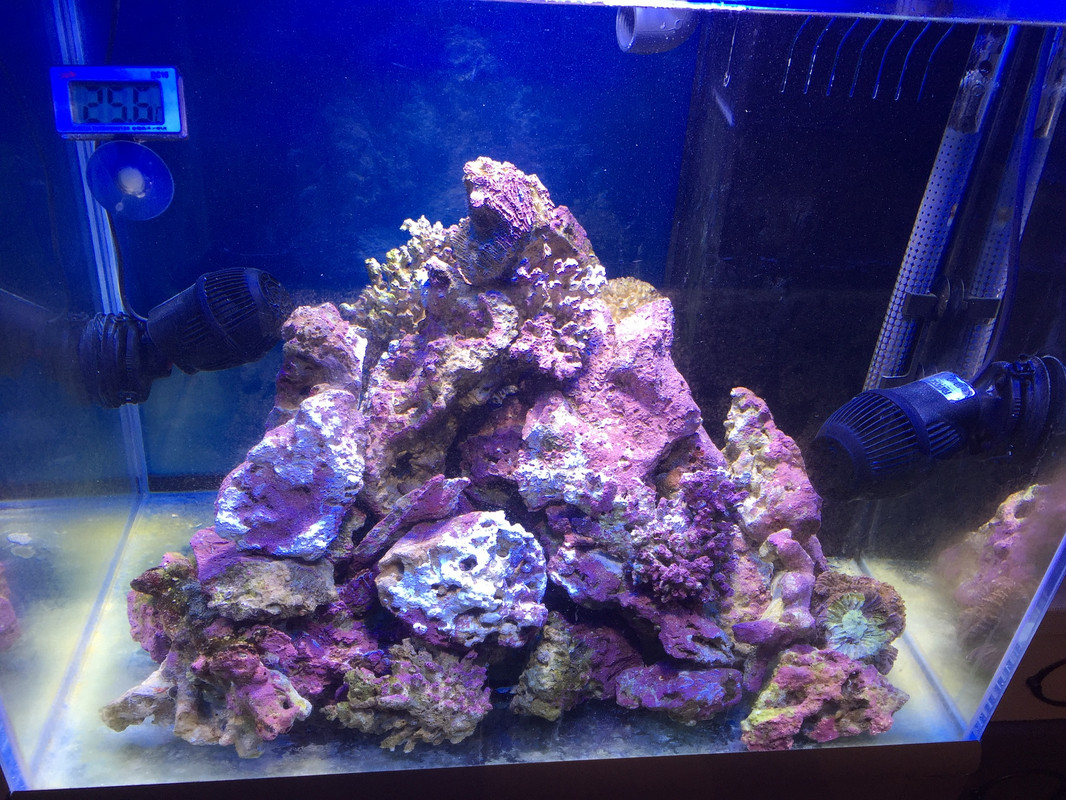 FB8010AE-4435-41B2-995D-9D48F4567722