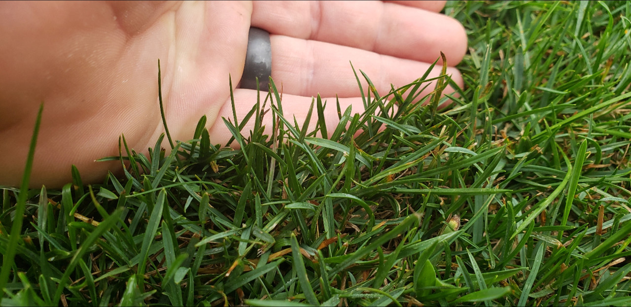 Screenshot_20210813-142849_Gmail