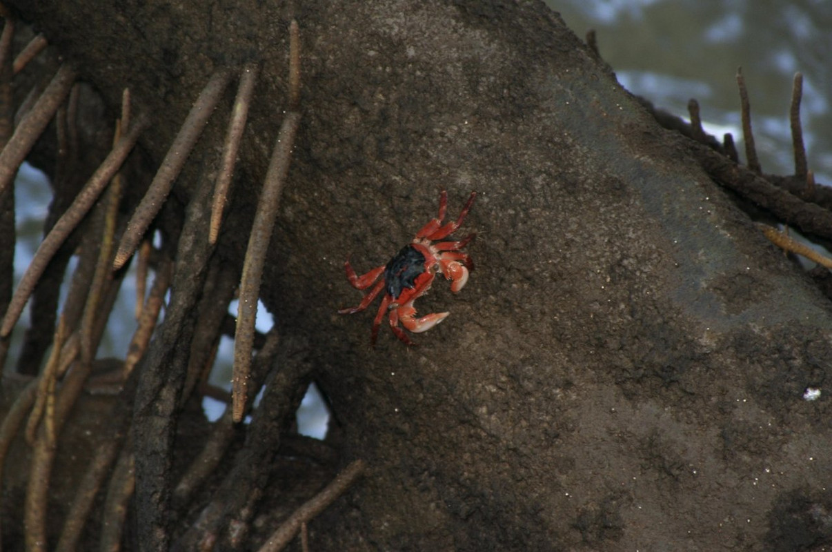 Screenshot 2020-10-14_20-57-06-723