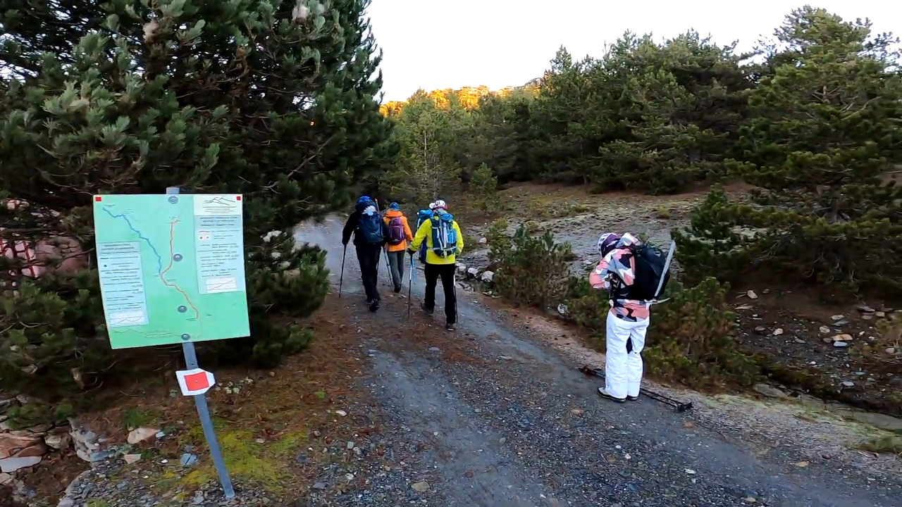 _          _            _          _         00-00-25  (1)