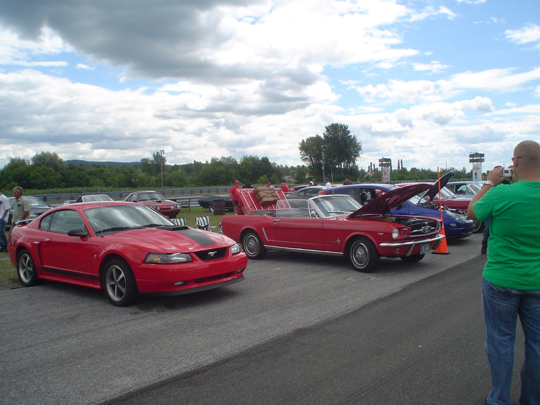 Montréal Mustang dans le temps! 1981 à aujourd'hui (Histoire en photos) - Page 15 DSC07037