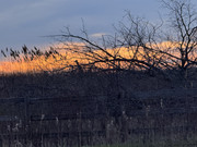 IMG-0964