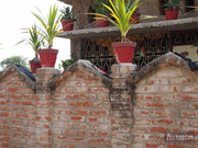 BBG&B12AStrollToSujataTemple - 2