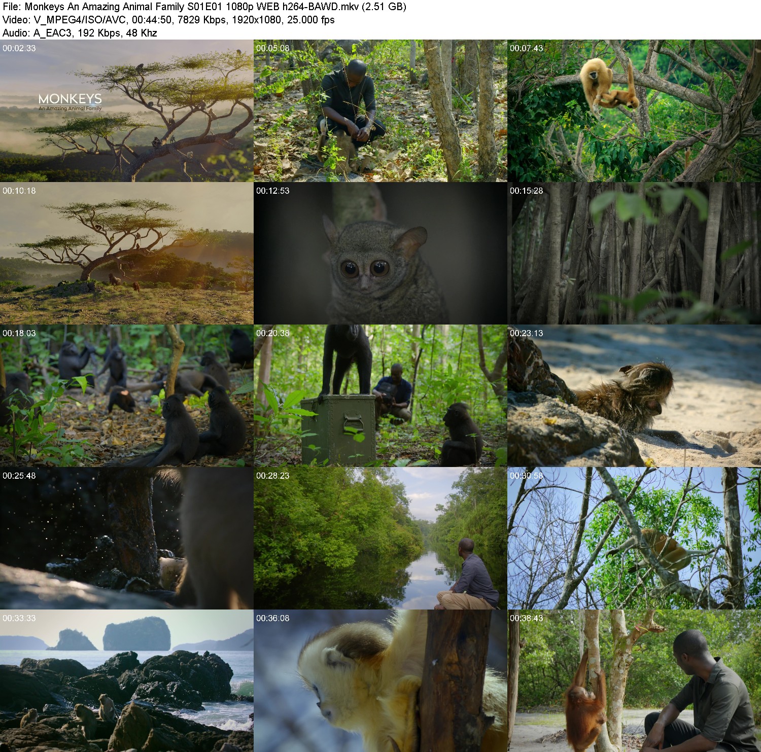 [Image: k3xym8kx9b0e.jpg]