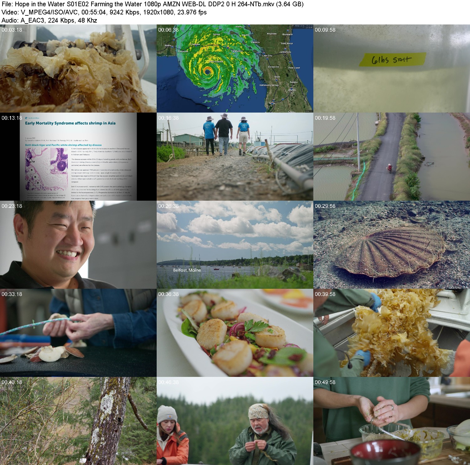 [Image: ioy40as39cyh.jpg]