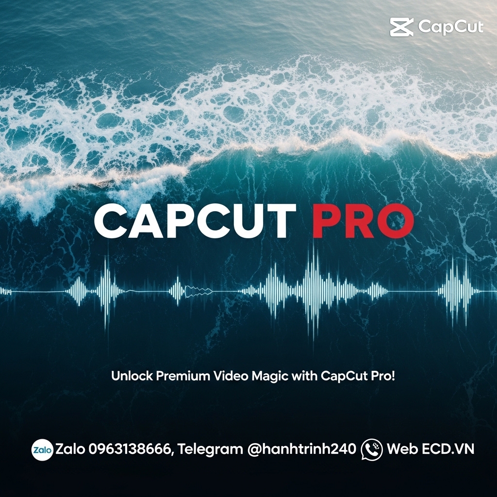 capcut new download
