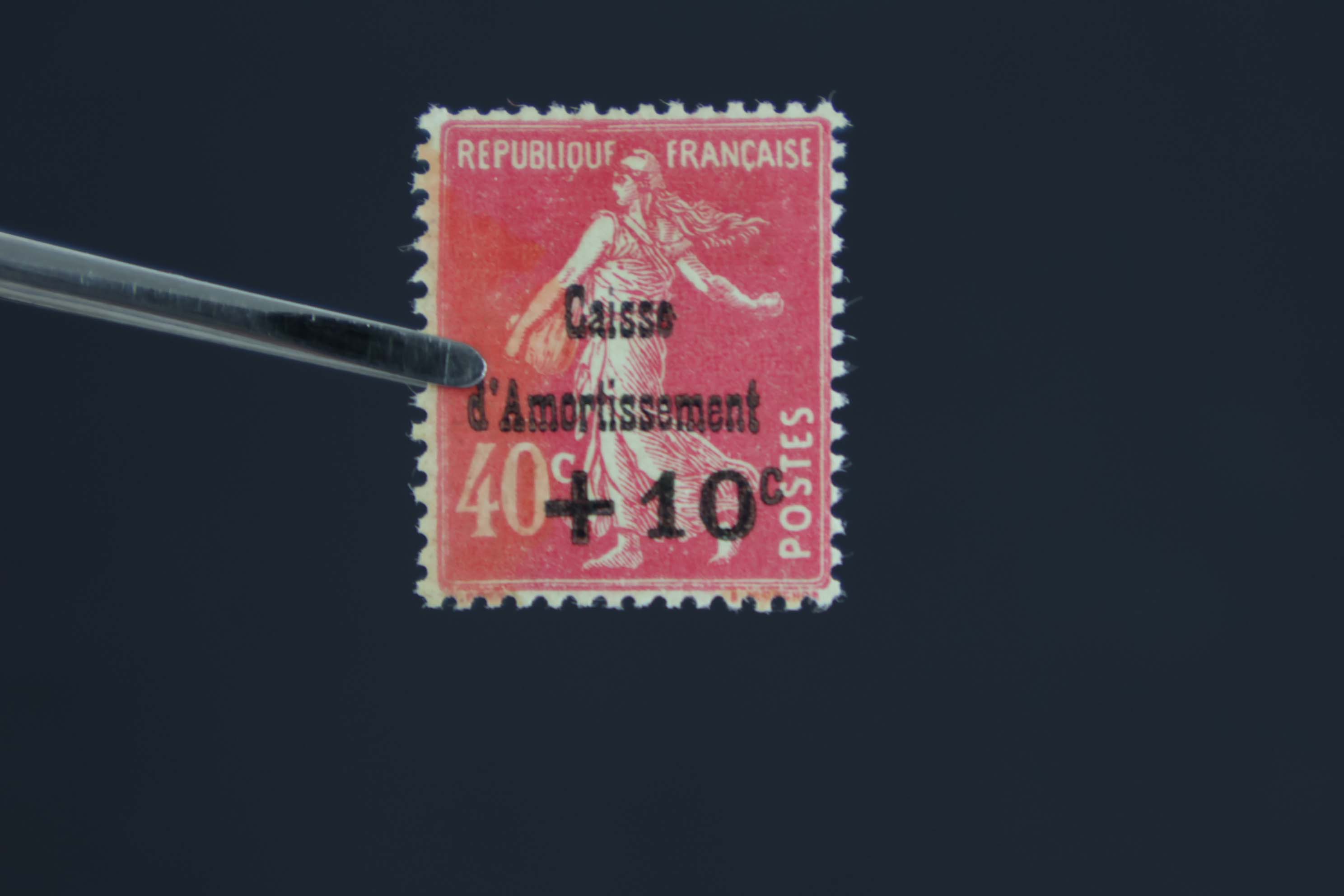 IMG-1528