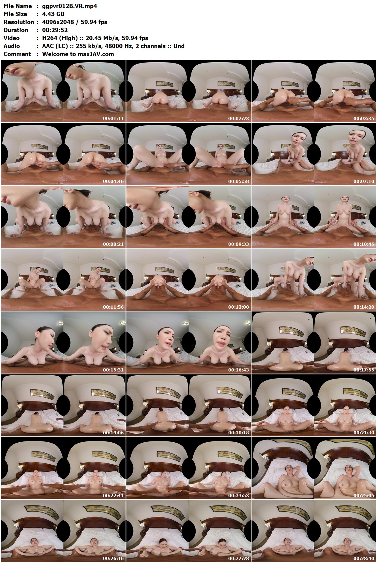 ggpvr012-B
