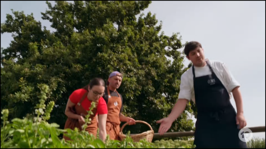 [Image: 3hb0tj5hw5hl.png]