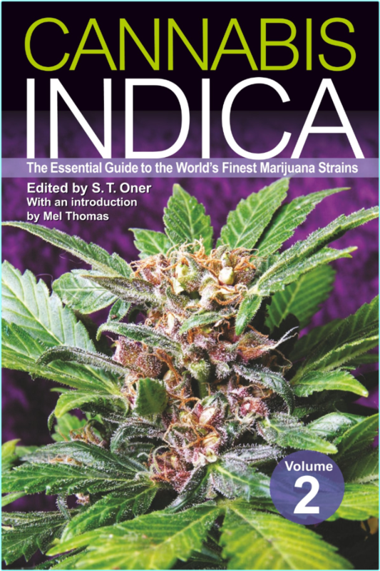 [Image: sf1747xlllyl.png]