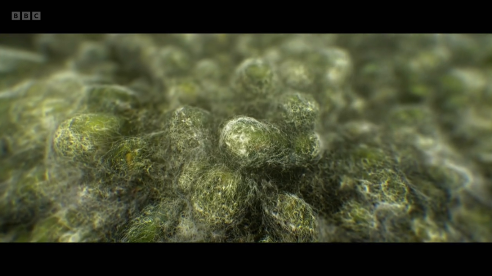 [Image: 2xvu0c6xhwf7.png]