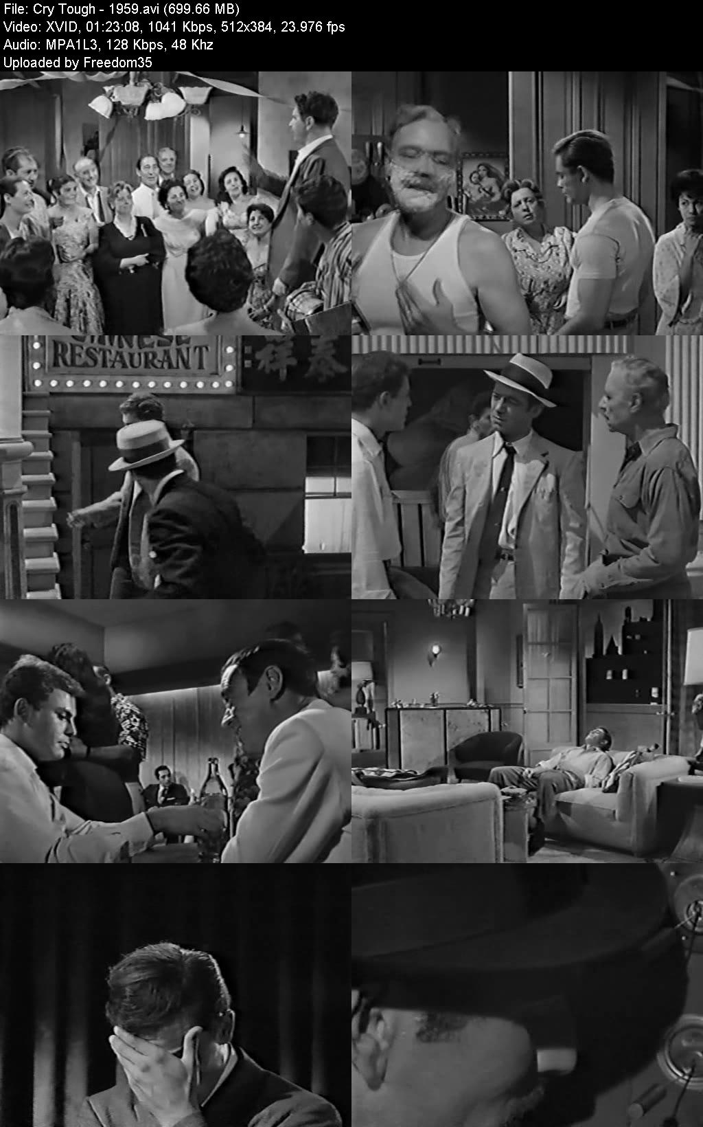 Paul joseph schrader stanley kauffmann essay 07 picture