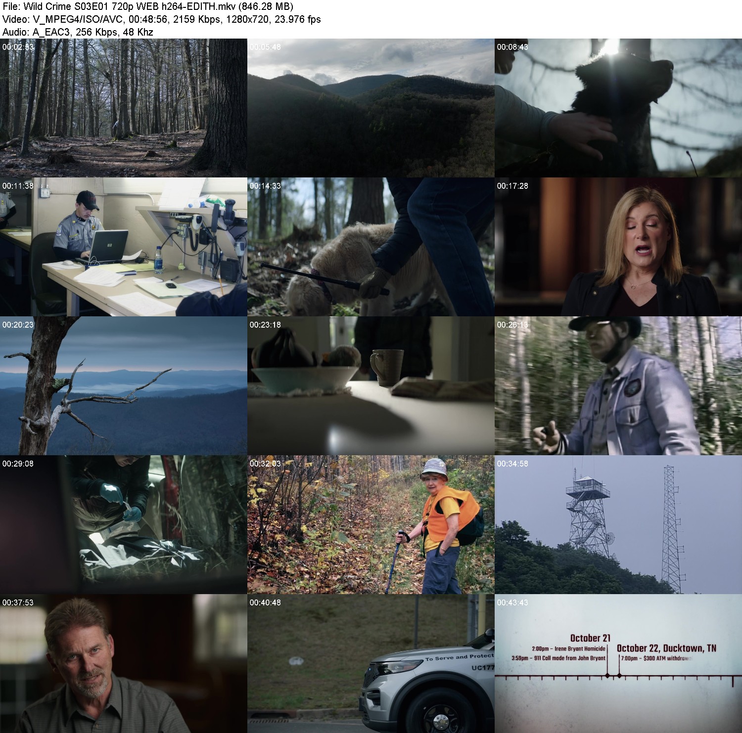 [Image: tfqf1pkct754.jpg]