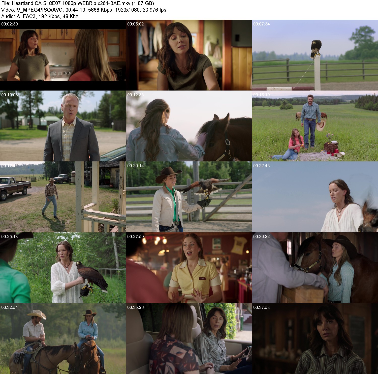 [Image: 2j477amdhvhv.jpg]